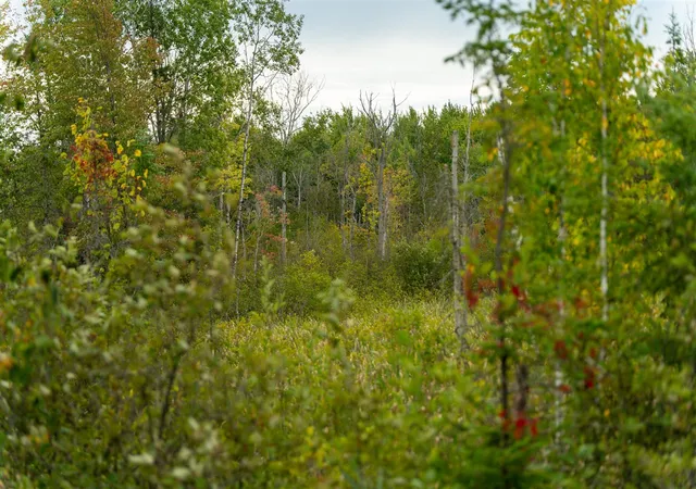 Photo 3 of Land for sale at 6932 E Houghton Lake Rd, Merritt, MI 49667 | MLS# 70561291 | Listing updated on 2026-10-15
