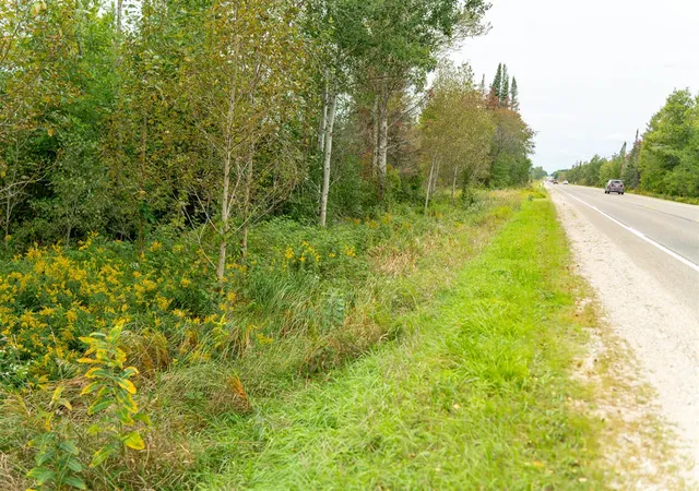 Photo 4 of Land for sale at 6932 E Houghton Lake Rd, Merritt, MI 49667 | MLS# 70561291 | Listing updated on 2026-10-15