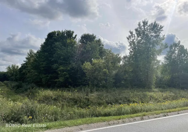 Land for sale at 9157 Birch Run Rd, Millington, MI 48746 | MLS# 50220969