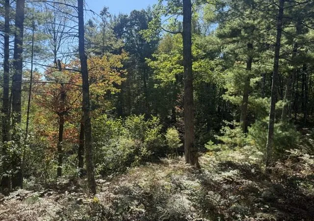 Land for sale at Vl Bagnall Ave, Baldwin, MI 49304 | MLS# 70561406