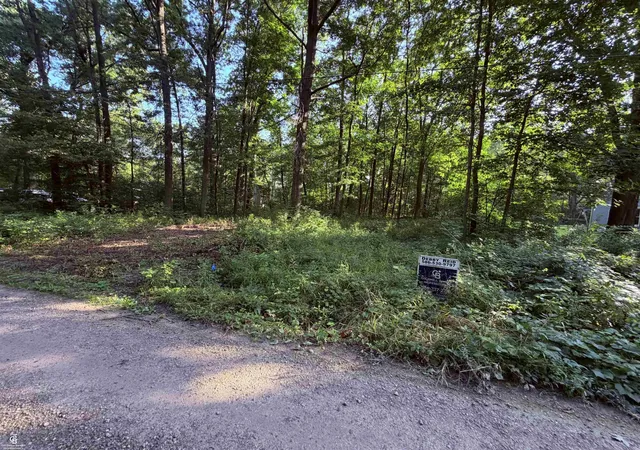 Photo 1 of Land for sale at 0 Woodland Ln, East China, MI 48054 | MLS# 50204072 | Listing updated on 2026-09-04