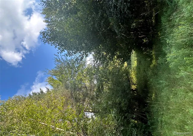 Photo 1 of Land for sale at V/l Frankford Rd, Caro, MI 48723 | MLS# 61026804 | Listing updated on 2026-09-03