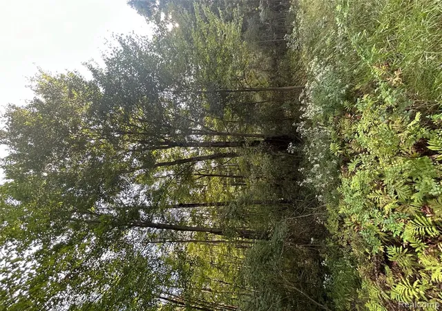 Photo 2 of Land for sale at V/l Frankford Rd, Caro, MI 48723 | MLS# 61026804 | Listing updated on 2026-09-03