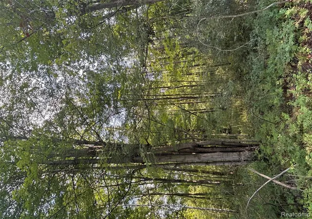 Photo 3 of Land for sale at V/l Frankford Rd, Caro, MI 48723 | MLS# 61026804 | Listing updated on 2026-09-03