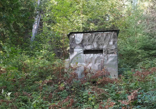 Photo 3 of Land for sale at Xxx Sg Rd, Felch, MI 49831 | MLS# 50224535 | Listing updated on 2026-10-10