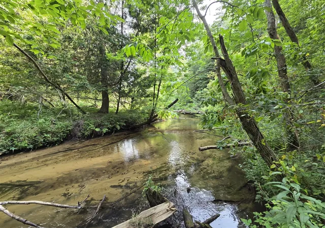 Photo 1 of Land for sale at 4232 E 3 1/2 Mile Rd, Luther, MI 49656 | MLS# 70557038 | Listing updated on 2026-09-05