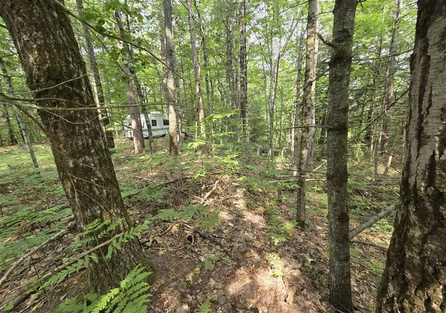 Photo 2 of Land for sale at 4232 E 3 1/2 Mile Rd, Luther, MI 49656 | MLS# 70557038 | Listing updated on 2026-09-05
