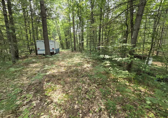 Photo 3 of Land for sale at 4232 E 3 1/2 Mile Rd, Luther, MI 49656 | MLS# 70557038 | Listing updated on 2026-09-05