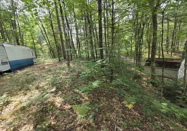 Photo 3 of Land for sale at 4232 E 3 1/2 Mile Rd, Luther, MI 49656 | MLS# 70557038 | Listing updated on 2026-09-05