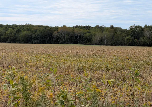 Photo 2 of Land for sale at 6571 W Saint Charles Rd, Sumner, MI 48889 | MLS# 80073950 | Listing updated on 2026-10-22
