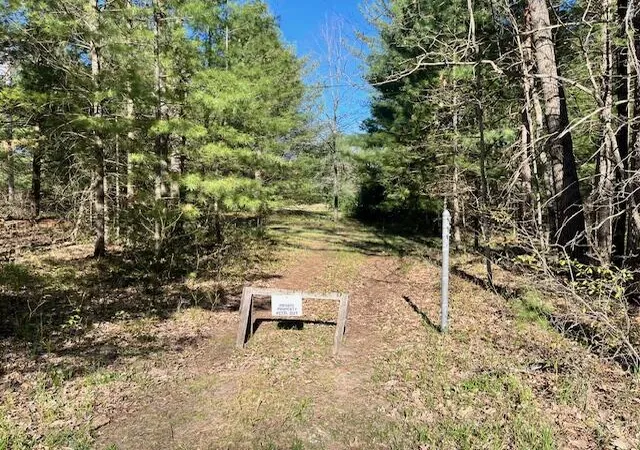 Photo 3 of Land for sale at 787 S Michigan Ave, Wellston, MI 49689 | MLS# 70556733 | Listing updated on 2026-09-04