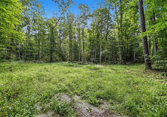 Land for sale at 43001 32nd Street, Paw Paw, MI 49079 | MLS# 70557720