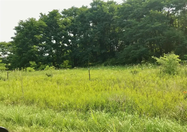 Photo 1 of Land for sale at Buckhorn Rd, Three Rivers, MI 49093 | MLS# 70549453 | Listing updated on 2026-10-06