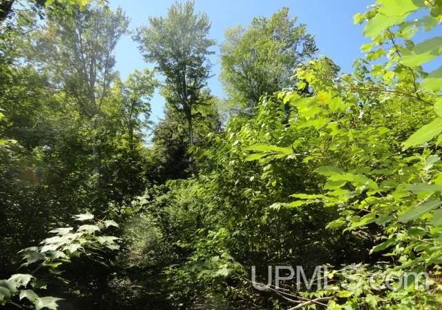 Photo 3 of Land for sale at Tbd Au Train Forest Lake Rd, Au Train, MI 49806 | MLS# 50220746 | Listing updated on 2026-09-10