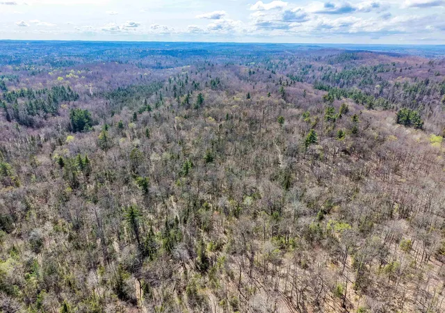 Photo 4 of Land for sale at Tbd E Wilderness Rd, Negaunee, MI 49866 | MLS# 50200045 | Listing updated on 2026-09-28