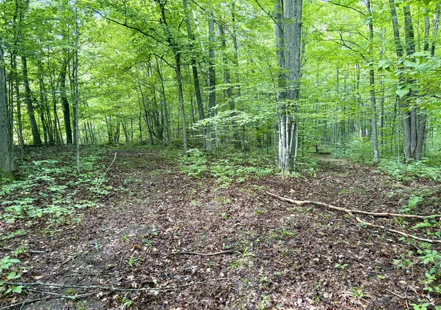 Photo 3 of Land for sale at South 50th Ave, Marion, MI 49665 | MLS# 70557018 | Listing updated on 2026-09-09