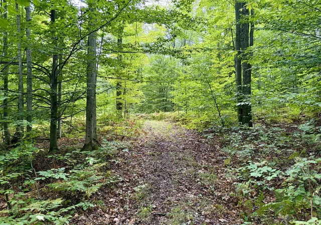 Photo 4 of Land for sale at South 50th Ave, Marion, MI 49665 | MLS# 70557018 | Listing updated on 2026-09-09