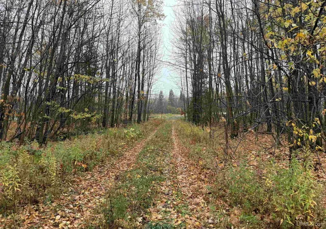 Photo 1 of Land for sale at State 77 Highway, Iron Belt V Wi, WI 54534 | MLS# 50224731 | Listing updated on 2026-10-13