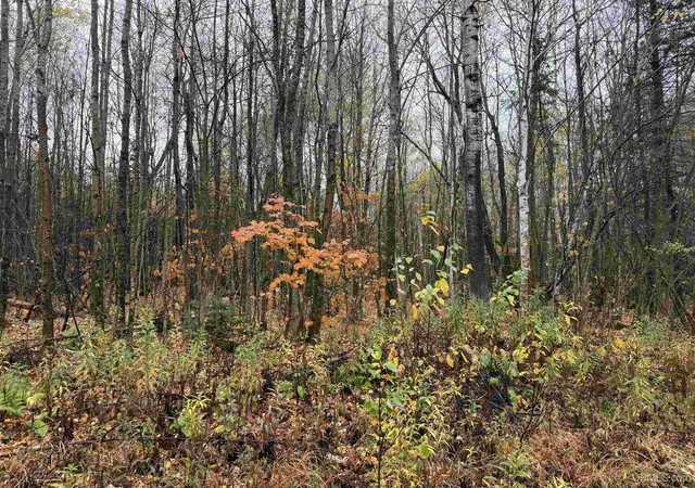 Photo 2 of Land for sale at State 77 Highway, Iron Belt V Wi, WI 54534 | MLS# 50224731 | Listing updated on 2026-10-13