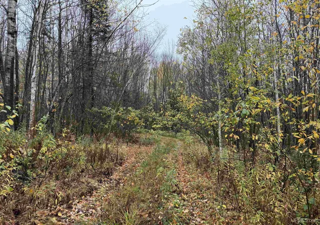 Photo 3 of Land for sale at State 77 Highway, Iron Belt V Wi, WI 54534 | MLS# 50224731 | Listing updated on 2026-10-13