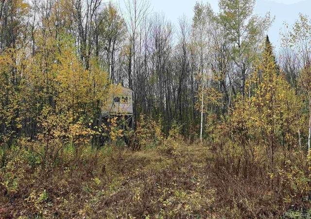 Photo 4 of Land for sale at State 77 Highway, Iron Belt V Wi, WI 54534 | MLS# 50224731 | Listing updated on 2026-10-13