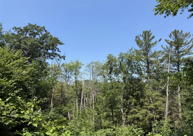 Photo 1 of Land for sale at 0 62nd Street, Saugatuck, MI 49453 | MLS# 70563923 | Listing updated on 2026-10-13