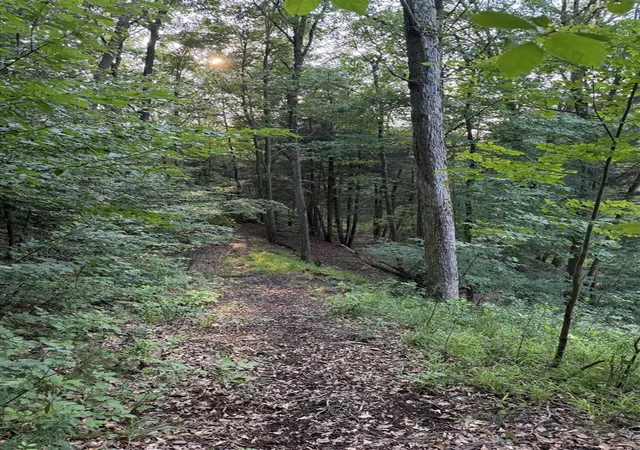 Photo 4 of Land for sale at 0 62nd Street, Saugatuck, MI 49453 | MLS# 70563923 | Listing updated on 2026-10-13