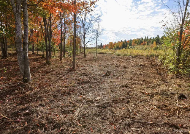 Photo 2 of Land for sale at Lot A Paavola Rd, Hancock, MI 49930 | MLS# 50224214 | Listing updated on 2026-10-12