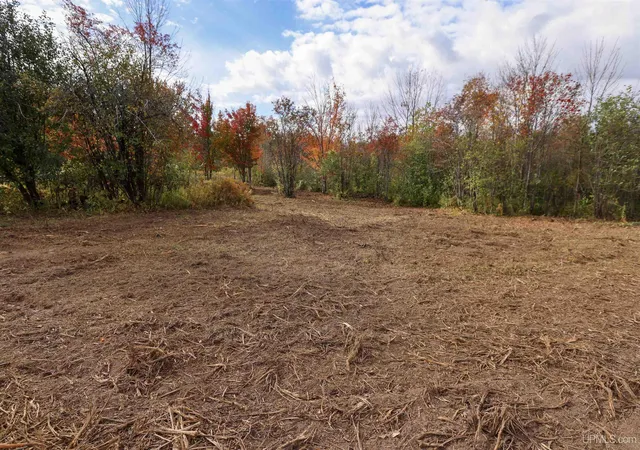 Photo 3 of Land for sale at Lot A Paavola Rd, Hancock, MI 49930 | MLS# 50224214 | Listing updated on 2026-10-12