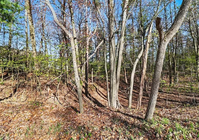 Photo 1 of Land for sale at Lot 11 Silver Ridge Rd, Mears, MI 49436 | MLS# 70520555 | Listing updated on 2026-10-06