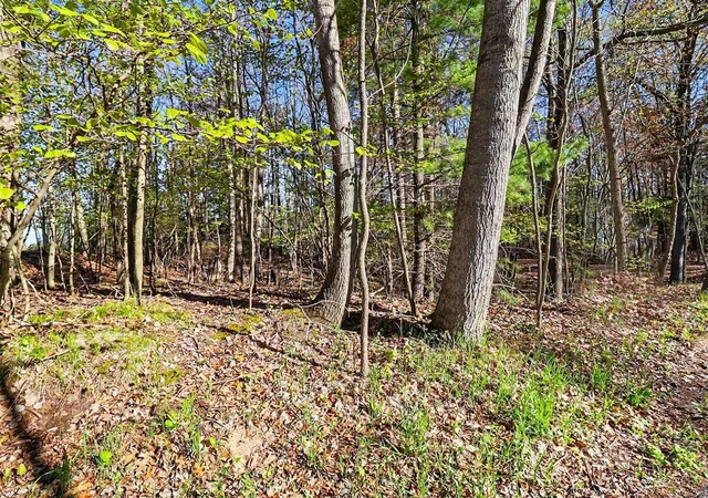 Photo 3 of Land for sale at Lot 11 Silver Ridge Rd, Mears, MI 49436 | MLS# 70520555 | Listing updated on 2026-10-06