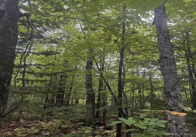 Photo 1 of Land for sale at Tbd 1 10 Tikka Rd, Ontonagon, MI 49953 | MLS# 50221145 | Listing updated on 2026-09-23