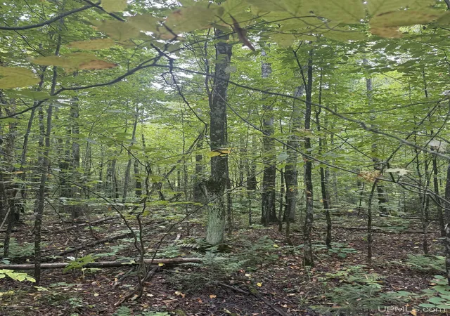 Photo 2 of Land for sale at Tbd 1 10 Tikka Rd, Ontonagon, MI 49953 | MLS# 50221145 | Listing updated on 2026-09-23
