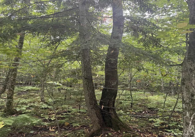 Photo 3 of Land for sale at Tbd 1 10 Tikka Rd, Ontonagon, MI 49953 | MLS# 50221145 | Listing updated on 2026-09-23