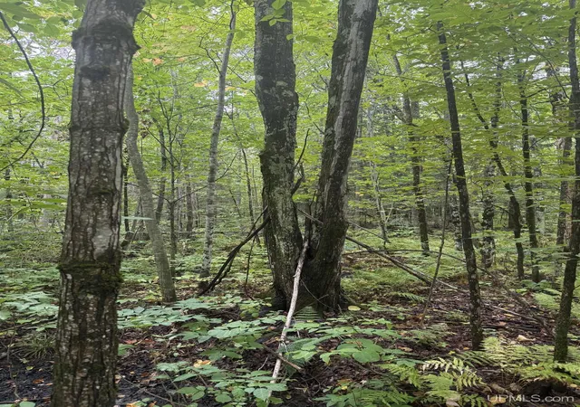 Photo 3 of Land for sale at Tbd 1-10 Tikka Rd, Ontonagon, MI 49953 | MLS# 50221145 | Listing updated on 2026-09-23