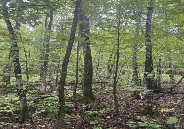 Photo 4 of Land for sale at Tbd 1-10 Tikka Rd, Ontonagon, MI 49953 | MLS# 50221145 | Listing updated on 2026-09-23