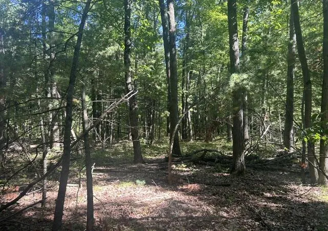 Land for sale at 9 Mile Rd, Stanwood, MI 49346 | MLS# 70560816