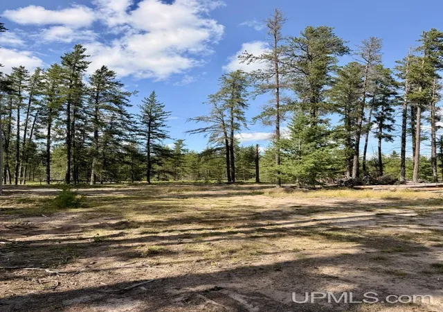 Photo 4 of Land for sale at 61 Road 1, Ishpeming, MI 49849 | MLS# 50217521 | Listing updated on 2026-10-07