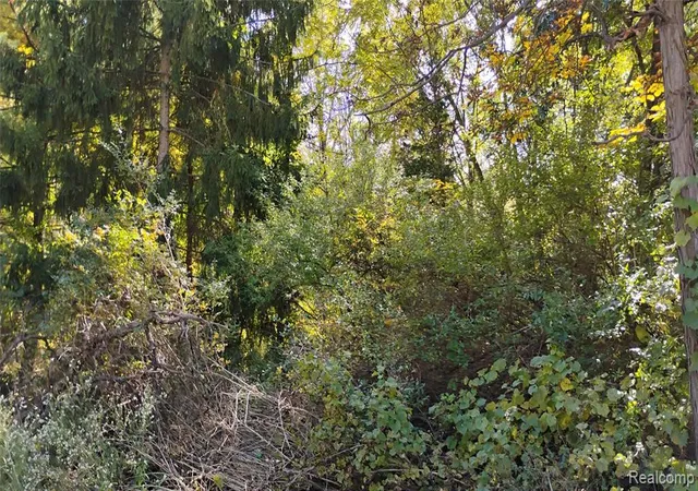 Photo 1 of Land for sale at 000 Middle Parc Middle Rd, Highland, MI 48357 | MLS# 60991728 | Listing updated on 2026-10-07