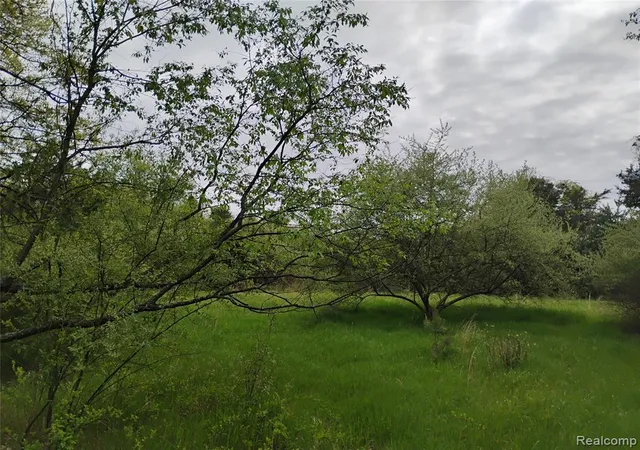 Photo 3 of Land for sale at 000 Middle Parc Middle Rd, Highland, MI 48357 | MLS# 60991728 | Listing updated on 2026-10-07