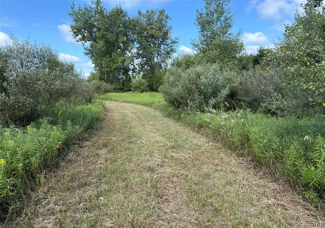 Photo 3 of Land for sale at V/l Edwards Rd, Fostoria, MI 48435 | MLS# 61028398 | Listing updated on 2026-09-17