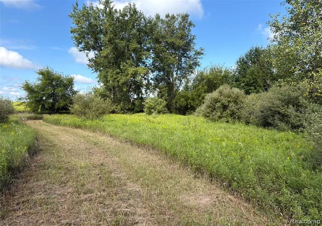 Photo 3 of Land for sale at V/l Edwards Rd, Fostoria, MI 48435 | MLS# 61028398 | Listing updated on 2026-09-17