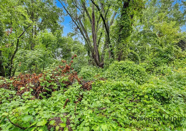 Photo 4 of Sale Pending at 2115 Konkle Dr, Belmont, MI 49306 | MLS# 70556973 | Listing updated on 2026-09-11