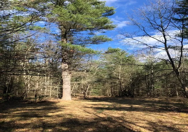 Photo 1 of Land for sale at Nw Dalson Rd, Holton, MI 49425 | MLS# 70562366 | Listing updated on 2026-10-09