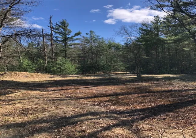 Photo 3 of Land for sale at Nw Dalson Rd, Holton, MI 49425 | MLS# 70562366 | Listing updated on 2026-10-09