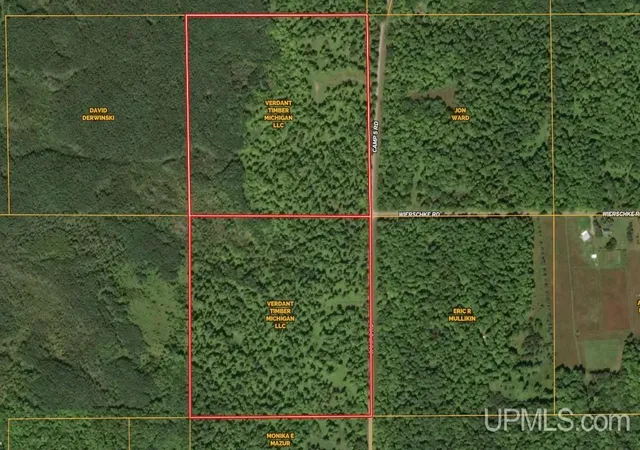 Photo 2 of Land for sale at Tbd Camp Five Rd, Crystal Falls, MI 49920 | MLS# 50223955 | Listing updated on 2026-10-12