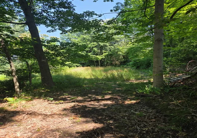 Photo 3 of Land for sale at 6695 S Brooks Rd, Fruitport, MI 49415 | MLS# 70556056 | Listing updated on 2026-09-09