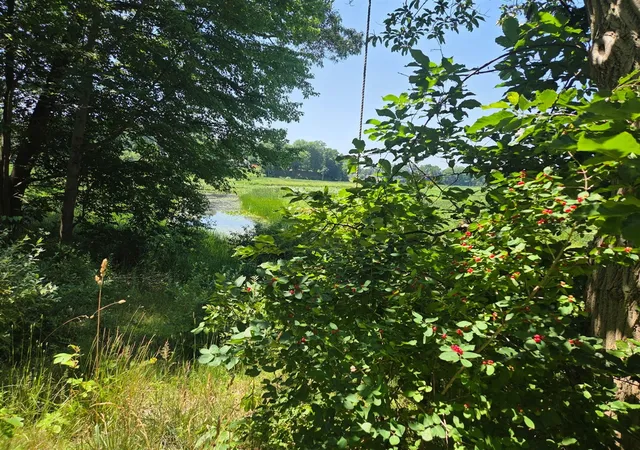Photo 4 of Land for sale at 6695 S Brooks Rd, Fruitport, MI 49415 | MLS# 70556056 | Listing updated on 2026-09-09
