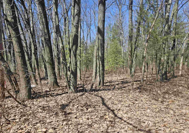 Photo 2 of Land for sale at Parcel F Farwell St, Harrison, MI 48625 | MLS# 50203559 | Listing updated on 2026-10-05