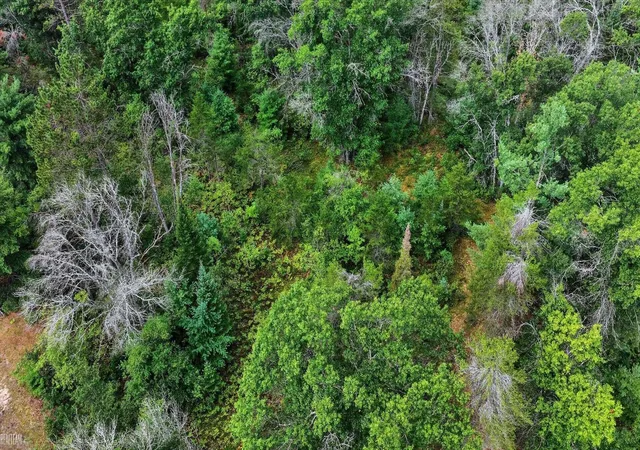 Photo 1 of Sale Pending at 00 Valley Vista Lot 20 Dr, Mio, MI 48647 | MLS# 50220599 | Listing updated on 2026-09-04